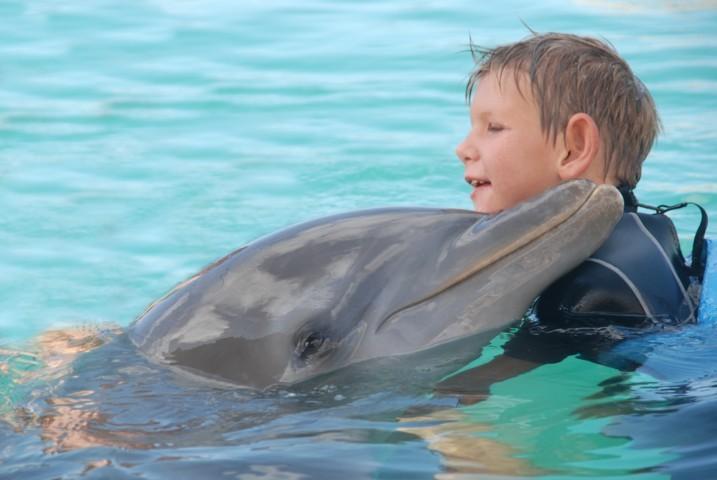 Das Foto zeigt, dass der 16jährigen Lukas bei seiner Delfintherapie im Jahr 2016 viel Freude hatte