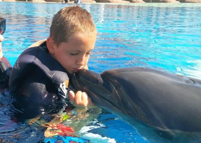 Das Foto von der letzten Delfintherapie im Kemar zeigt eindrucksvoll, dass zwischen Jamie und 'seinem Delfin' eine inniges Vertrauensverhältnis aufgebaut werden konnte (Bildrechte: Klaus Port)